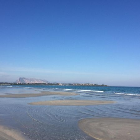 Hotel Al Faro Spiaggia La Cinta Santeodoro San Teodoro  Exteriör bild