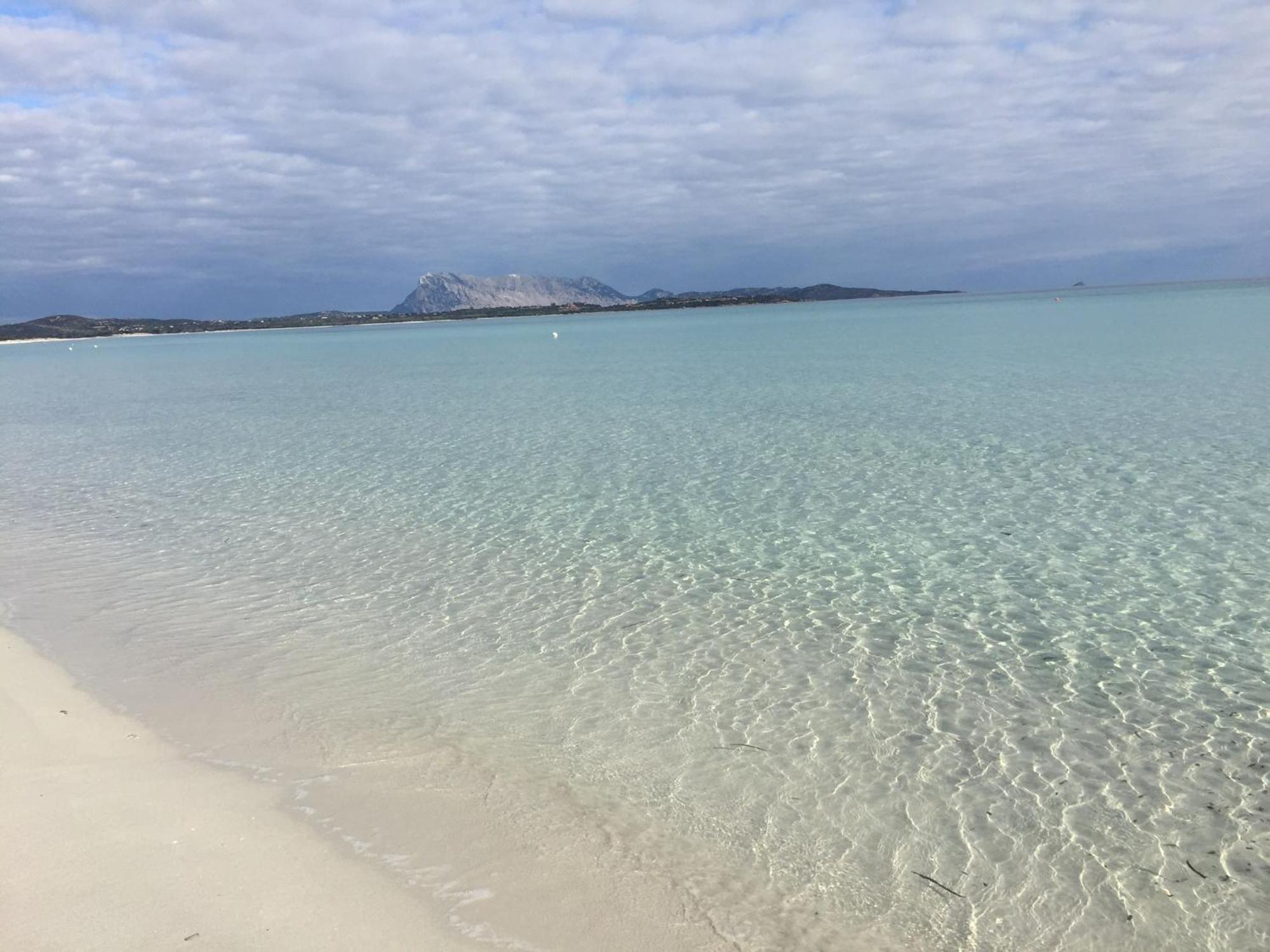 Hotel Al Faro Spiaggia La Cinta Santeodoro San Teodoro  Exteriör bild